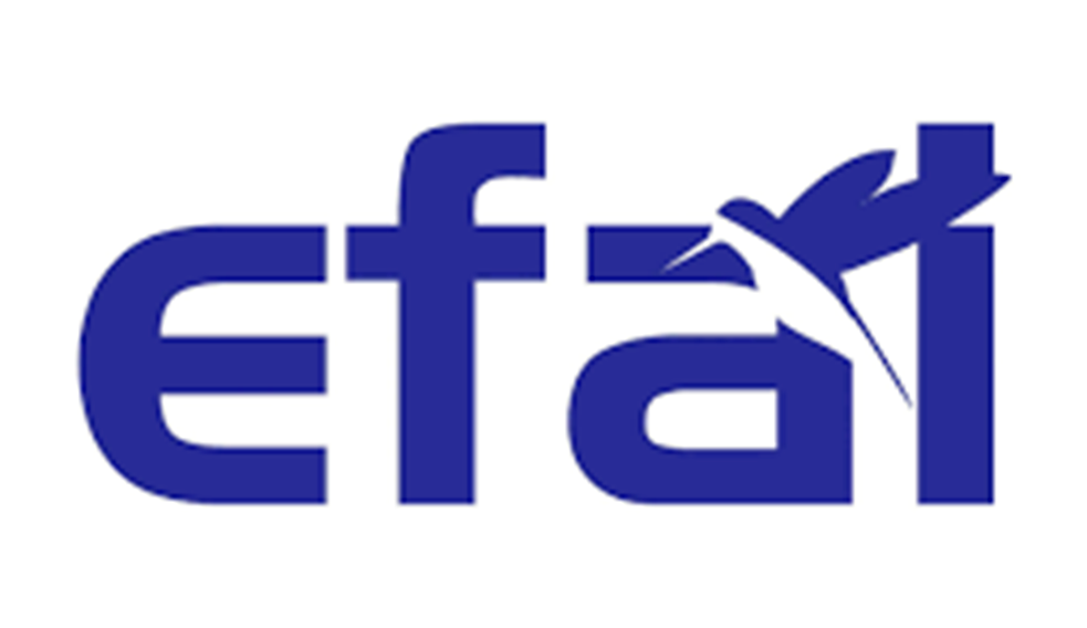 Efai Escola de Aviação